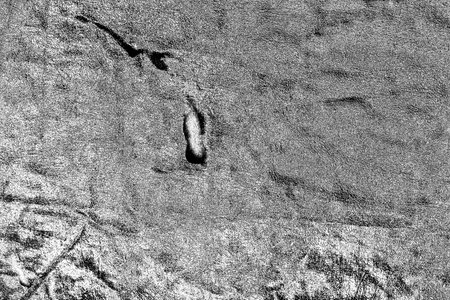 Abstract background. Monochrome texture. Image includes a effect the black and white tones.の写真素材