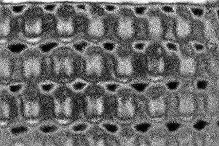 Abstract background. Monochrome texture. Image includes a effect the black and white tones.