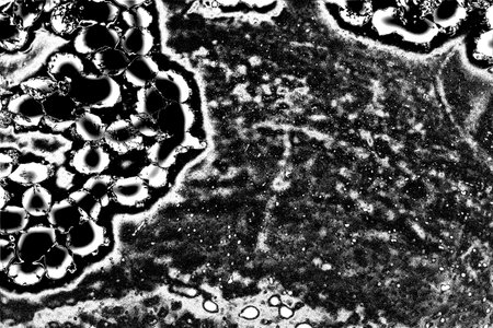 Abstract background. Monochrome texture. Image includes a effect the black and white tones.の写真素材