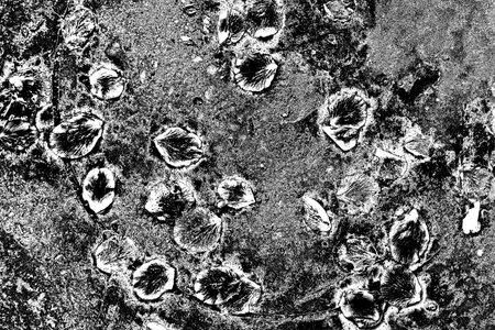 Abstract background. Monochrome texture. Image includes a effect the black and white tones.の写真素材