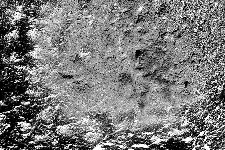 Abstract background. Monochrome texture. Image includes a effect the black and white tones.の写真素材