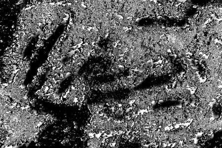 Abstract background. Monochrome texture. Image includes a effect the black and white tones.の写真素材