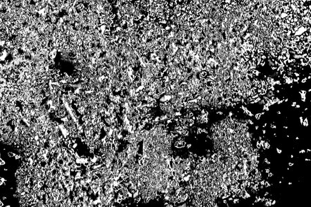 Abstract background. Monochrome texture. Image includes a effect the black and white tones.の写真素材