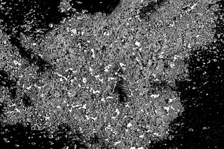 Abstract background. Monochrome texture. Image includes a effect the black and white tones.の写真素材