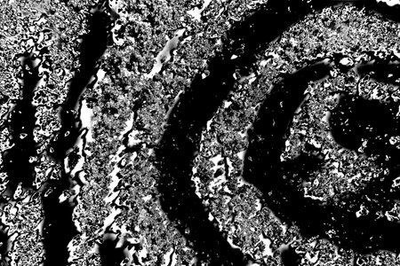 Abstract background. Monochrome texture. Image includes a effect the black and white tones.の写真素材