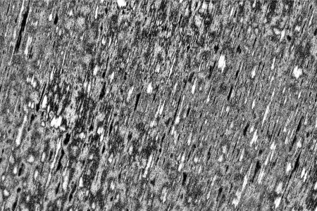 Abstract background. Monochrome texture. Image includes a effect the black and white tones.の写真素材
