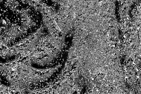 Abstract background. Monochrome texture. Image includes a effect the black and white tones.の写真素材