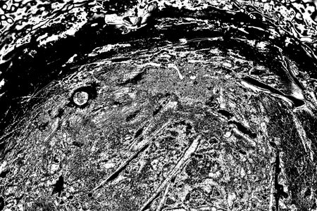 Abstract background. Monochrome texture. Image includes a effect the black and white tones.の写真素材