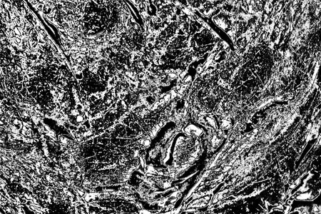 Abstract background. Monochrome texture. Image includes a effect the black and white tones.の写真素材