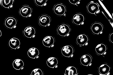 Abstract background. Monochrome texture. Image includes a effect the black and white tones.の写真素材