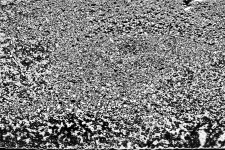 Abstract background. Monochrome texture. Image includes a effect the black and white tones.の写真素材
