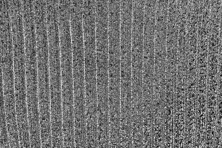 Abstract background. Monochrome texture. Image includes a effect the black and white tones.の写真素材
