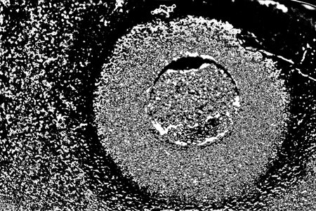 Abstract background. Monochrome texture. Image includes a effect the black and white tones.の写真素材