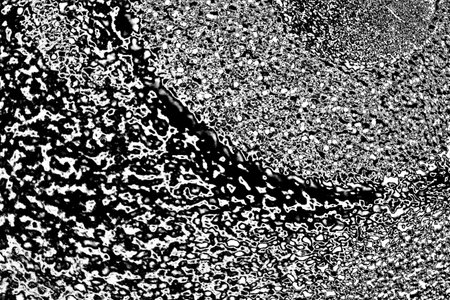 Abstract background. Monochrome texture. Image includes a effect the black and white tones.の写真素材