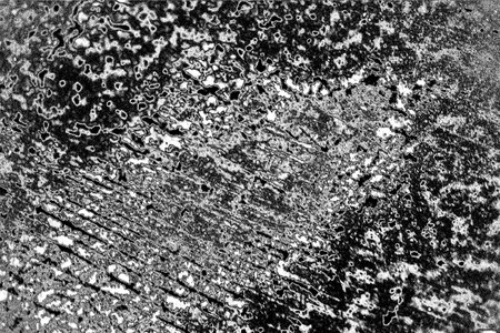 Abstract background. Monochrome texture. Image includes a effect the black and white tones.の写真素材