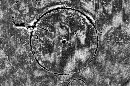 Abstract background. Monochrome texture. Image includes a effect the black and white tones.の写真素材