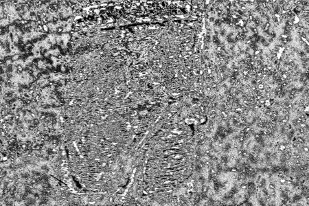 Abstract background. Monochrome texture. Image includes a effect the black and white tones.の写真素材