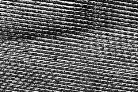 Abstract background. Monochrome texture. Image includes a effect the black and white tones.