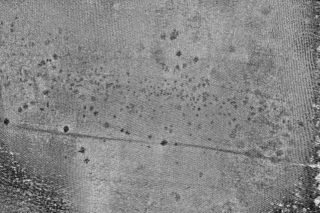 Abstract background. Monochrome texture. Image includes a effect the black and white tones.