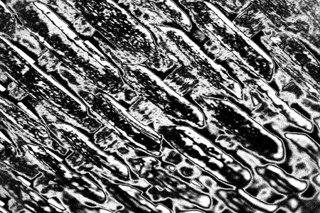 Abstract background. Monochrome texture. Image includes a effect the black and white tones.の写真素材