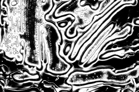 Abstract background. Monochrome texture. Image includes a effect the black and white tones.