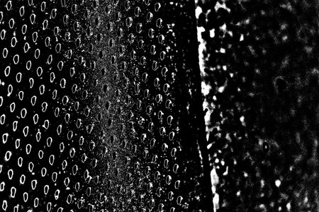 Abstract background. Monochrome texture. Image includes a effect the black and white tones.の写真素材