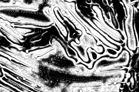 Abstract background. Monochrome texture. Image includes a effect the black and white tones.の写真素材