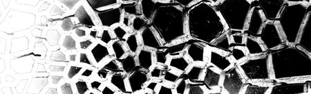 Abstract background. Monochrome texture. Image includes a effect the black and white tones.の写真素材