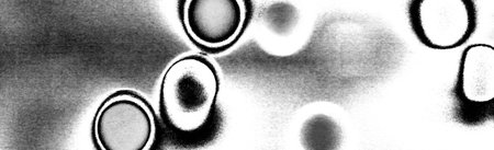 Abstract background. Monochrome texture. Image includes a effect the black and white tones.の写真素材