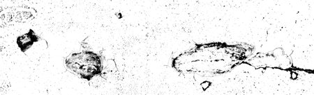 Abstract background. Monochrome texture. Image includes a effect the black and white tones.