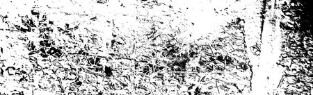 Abstract background. Monochrome texture. Image includes a effect the black and white tones.の写真素材