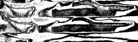 Abstract background. Monochrome texture. Image includes a effect the black and white tones.