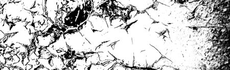 Abstract background. Monochrome texture. Image includes a effect the black and white tones.の写真素材