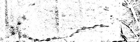Abstract background. Monochrome texture. Image includes a effect the black and white tones.の写真素材