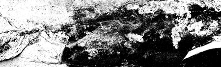 Abstract background. Monochrome texture. Image includes a effect the black and white tones.の写真素材