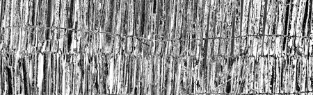 Abstract background. Monochrome texture. Image includes a effect the black and white tones.の写真素材