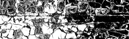 Abstract background. Monochrome texture. Image includes a effect the black and white tones.