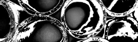 Abstract background. Monochrome texture. Image includes a effect the black and white tones.の写真素材