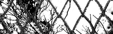 Abstract background. Monochrome texture. Image includes a effect the black and white tones.の写真素材