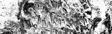 Abstract background. Monochrome texture. Image includes a effect the black and white tones.の写真素材