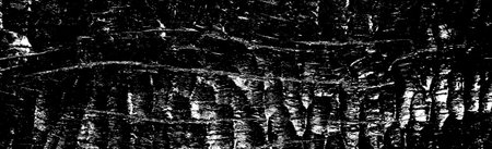 Abstract background. Monochrome texture. Image includes a effect the black and white tones.の写真素材