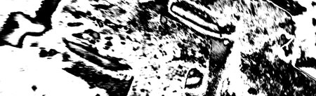 Abstract background. Monochrome texture. Image includes a effect the black and white tones.の写真素材