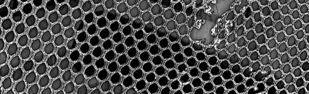 Abstract background. Monochrome texture. Image includes a effect the black and white tones.の写真素材