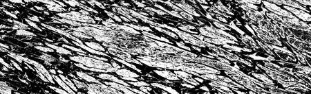 Abstract background. Monochrome texture. Image includes a effect the black and white tones.