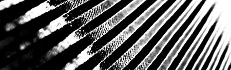 Abstract background. Monochrome texture. Image includes a effect the black and white tones.の写真素材