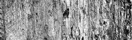 Abstract background. Monochrome texture. Image includes a effect the black and white tones.の写真素材