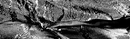 Abstract background. Monochrome texture. Image includes a effect the black and white tones.の写真素材