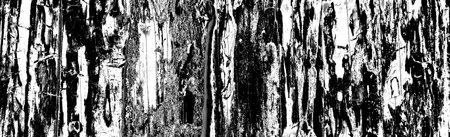 Abstract background. Monochrome texture. Image includes a effect the black and white tones.の写真素材