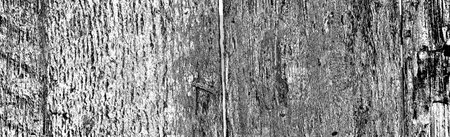 Abstract background. Monochrome texture. Image includes a effect the black and white tones.の写真素材