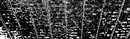 Abstract background. Monochrome texture. Image includes a effect the black and white tones.の写真素材